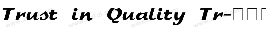 Trust in Quality Tr字体转换